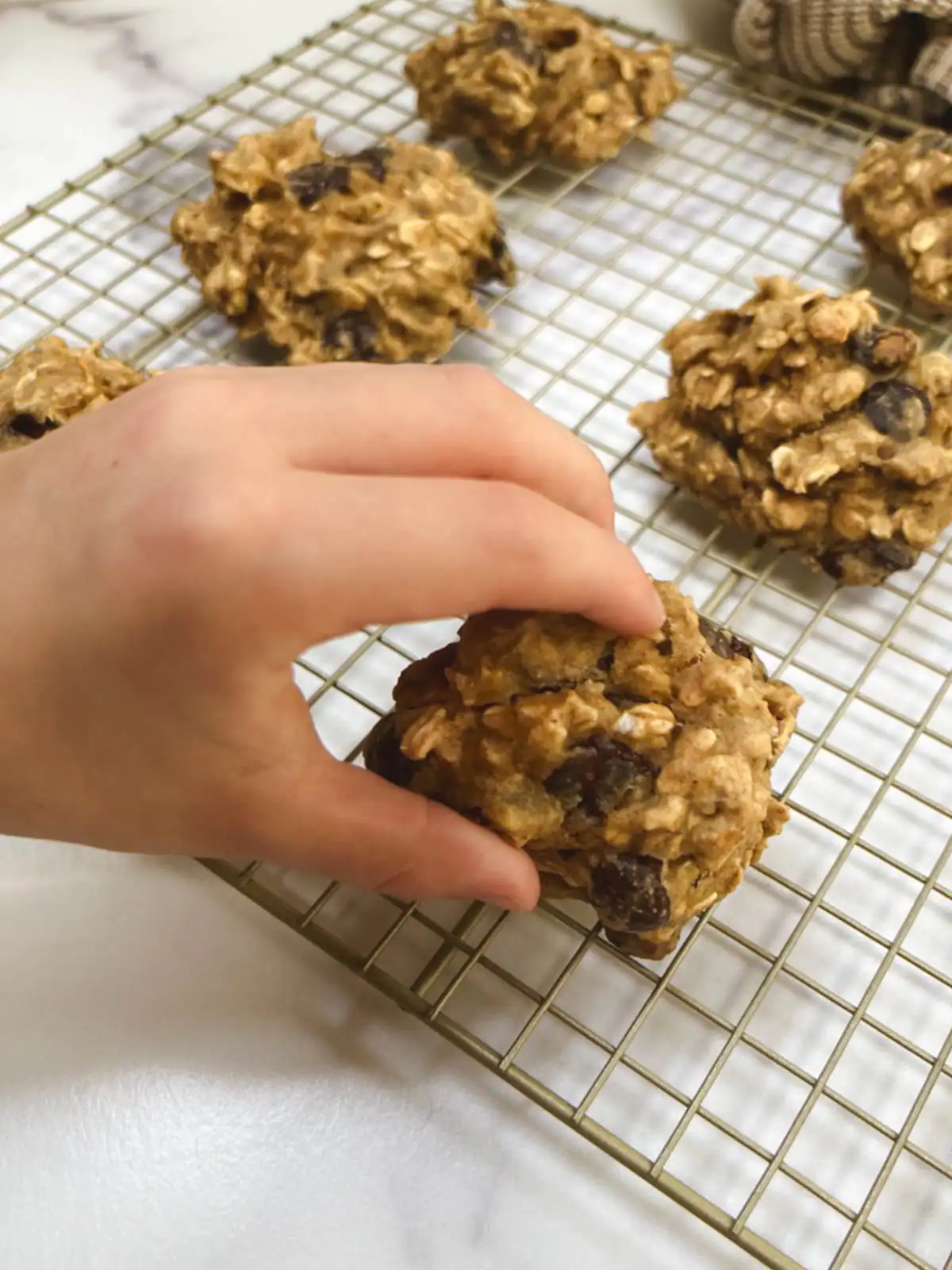 Delicious healthy vegan breakfast cookies on a cooling rack.