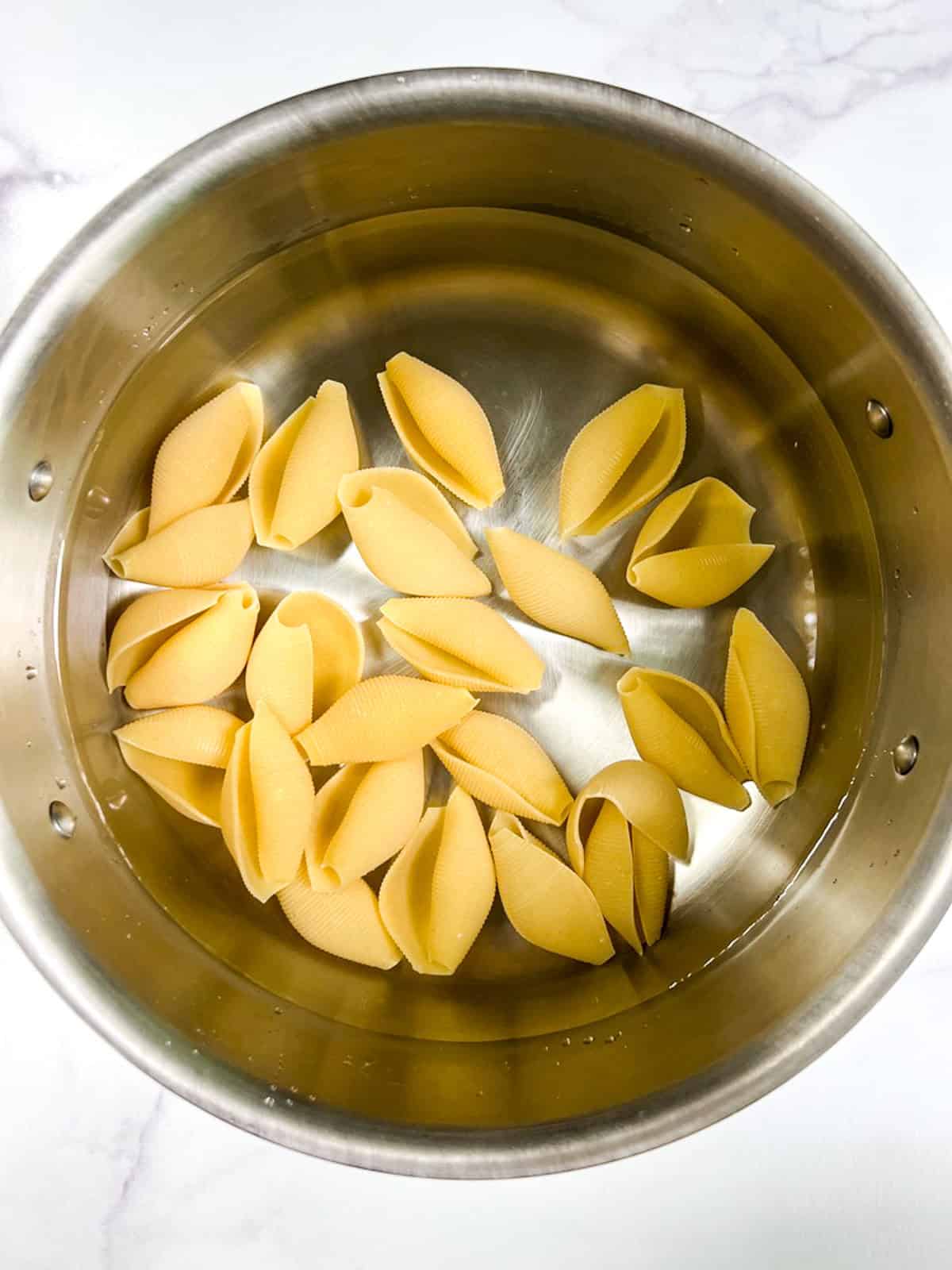 Pasta shells in a stainless steel pot with water, ready to cook.