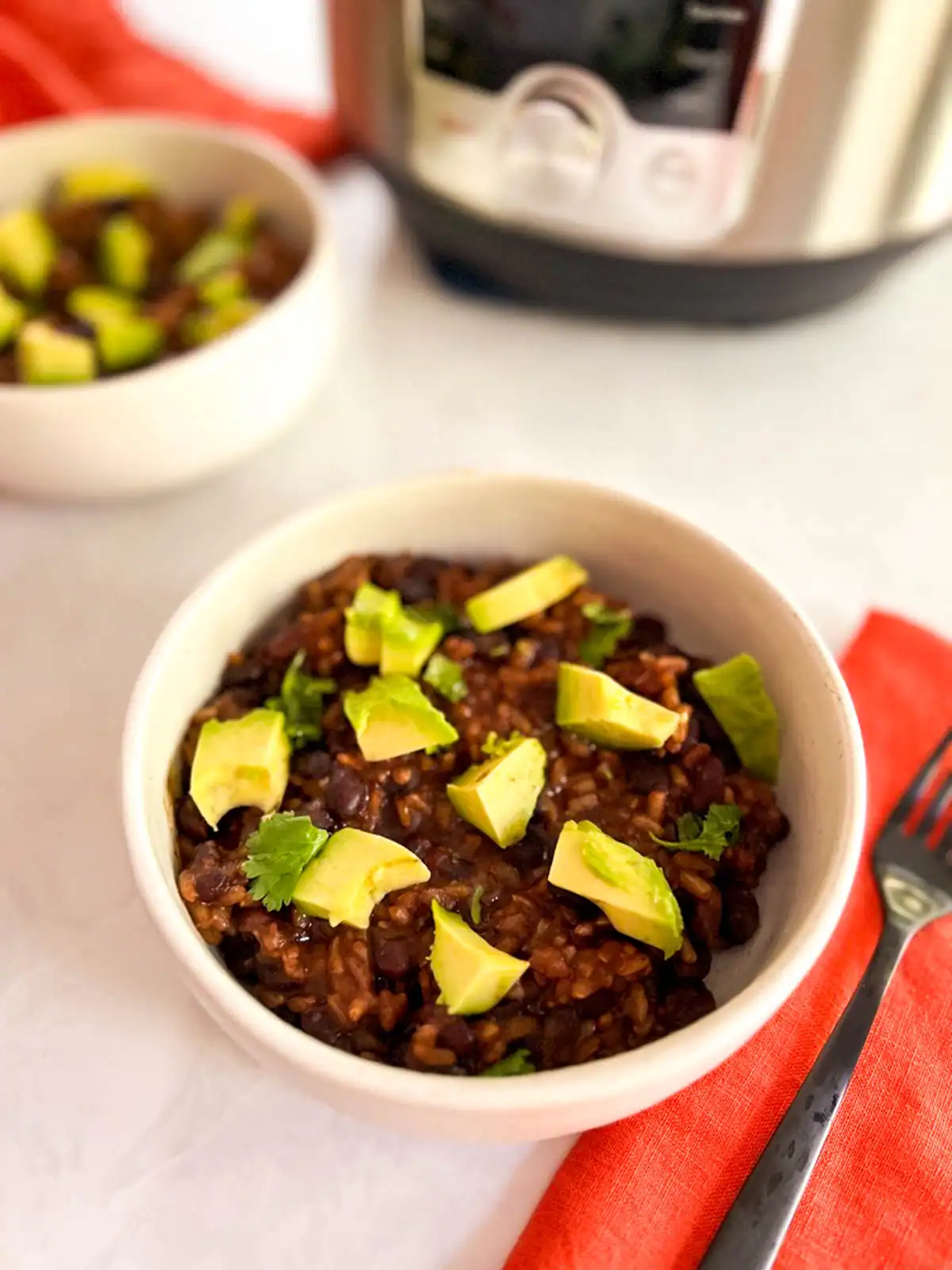 Vegan Instant Pot black bean and rice bowl garnished with fresh avocado and cilantro.