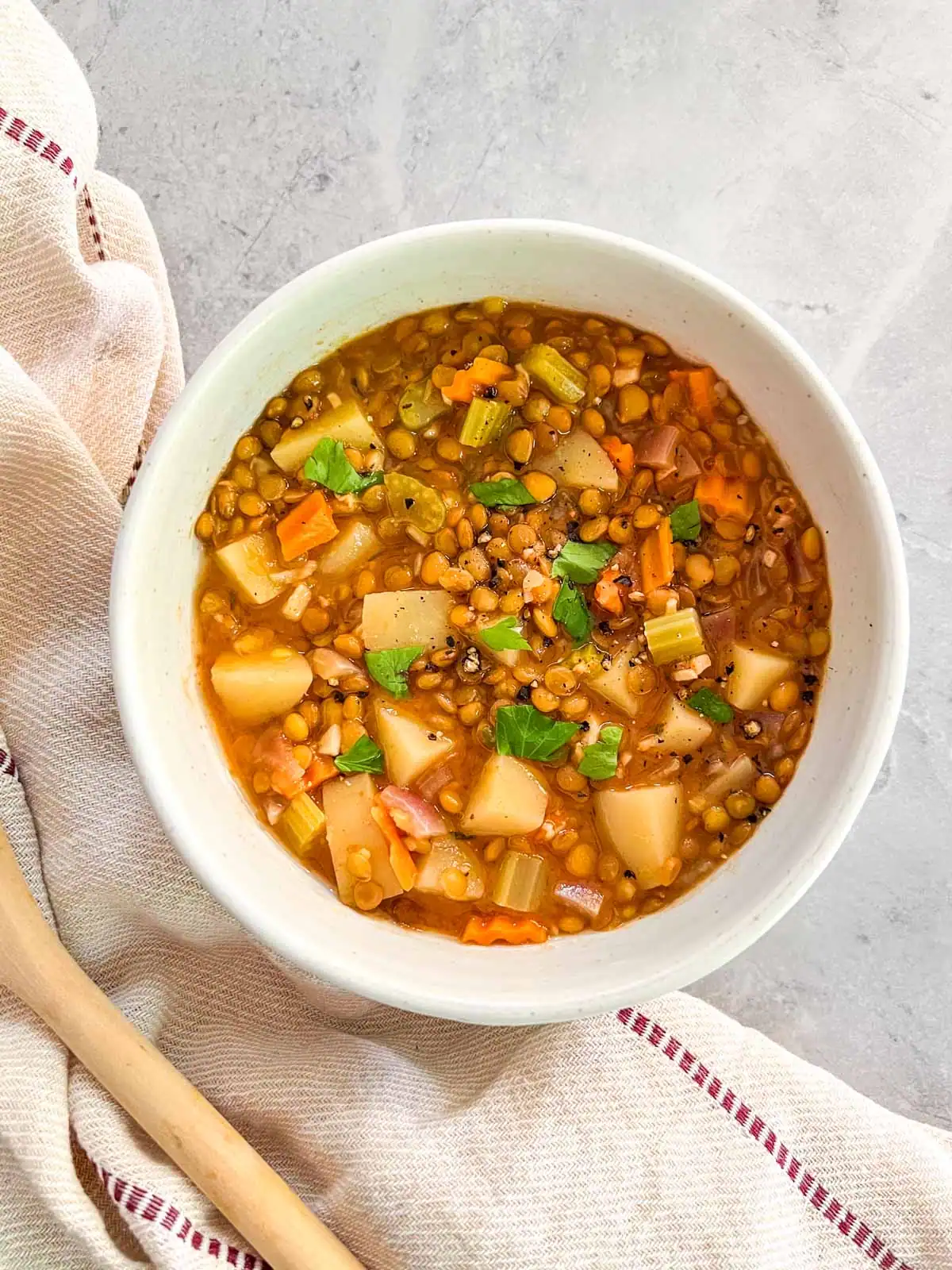 Vegan lentil vegetable soup in a white bowl on a neutral background.