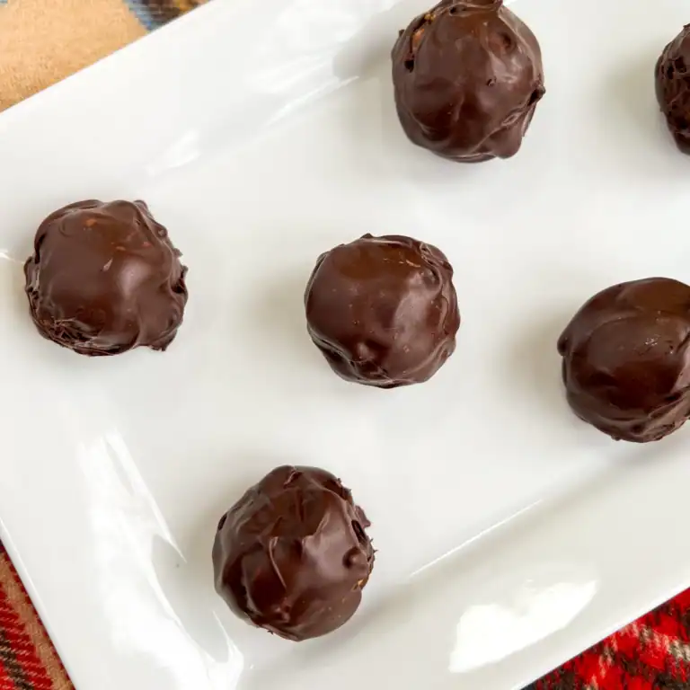 No-bake chocolate peanut butter pretzel balls on a white plate.